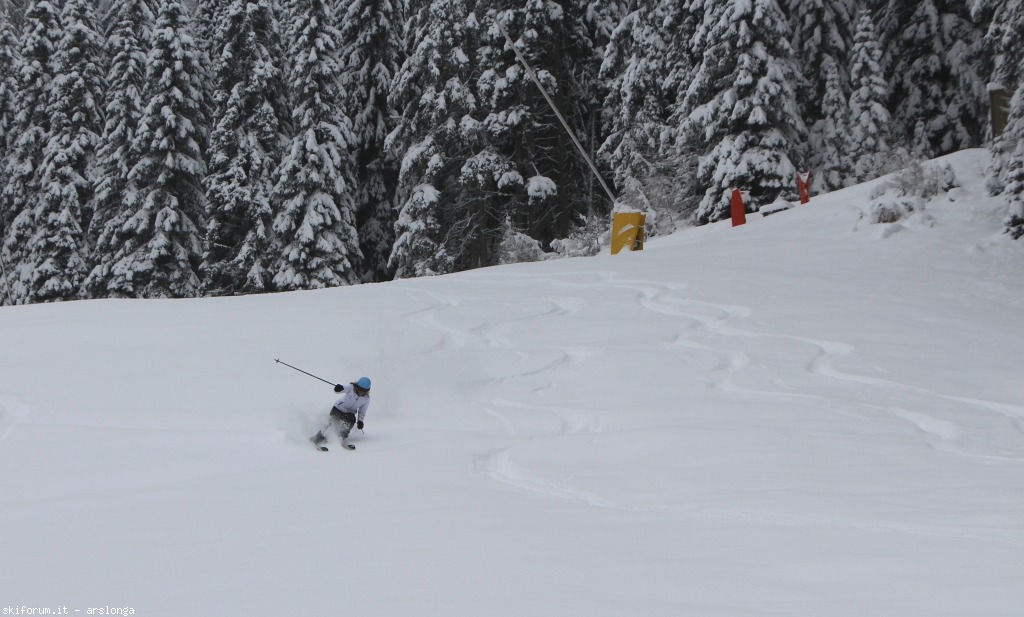 88511-cold-smoke-img1477.jpg