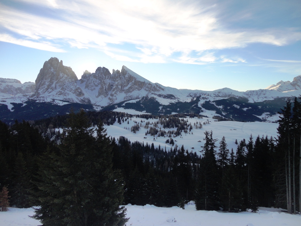 88982-alpe-di-siusi-dsc04802.jpg
