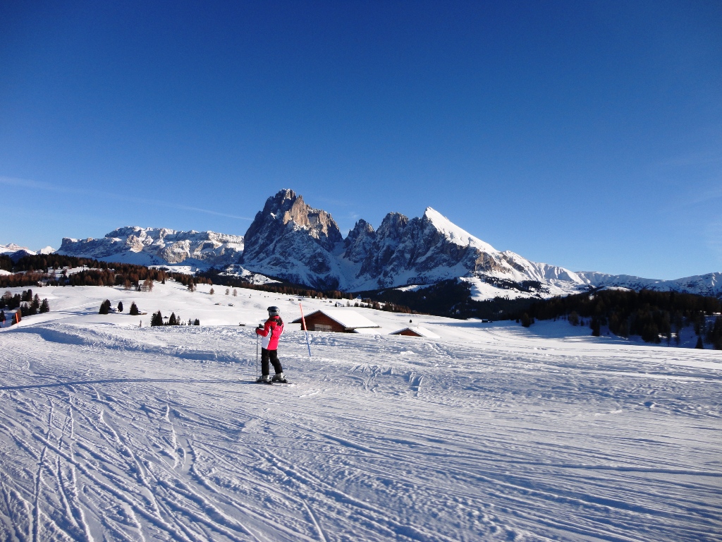89013-alpe-di-siusi-dsc04865.jpg