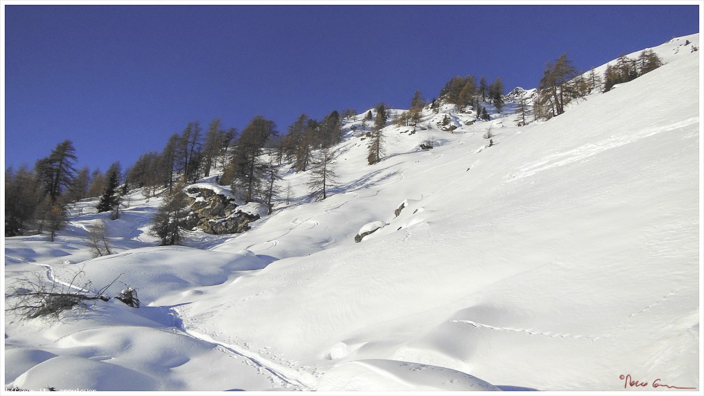 89086-col-tantane-coltantane002.jpg