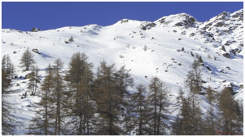 89102-col-tantane-coltantane034.jpg