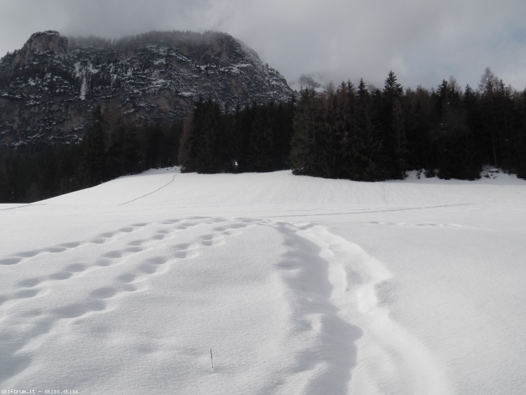 89852-cartoline-san-leonardonatale-dic-20122-2-imga0177573.jpg