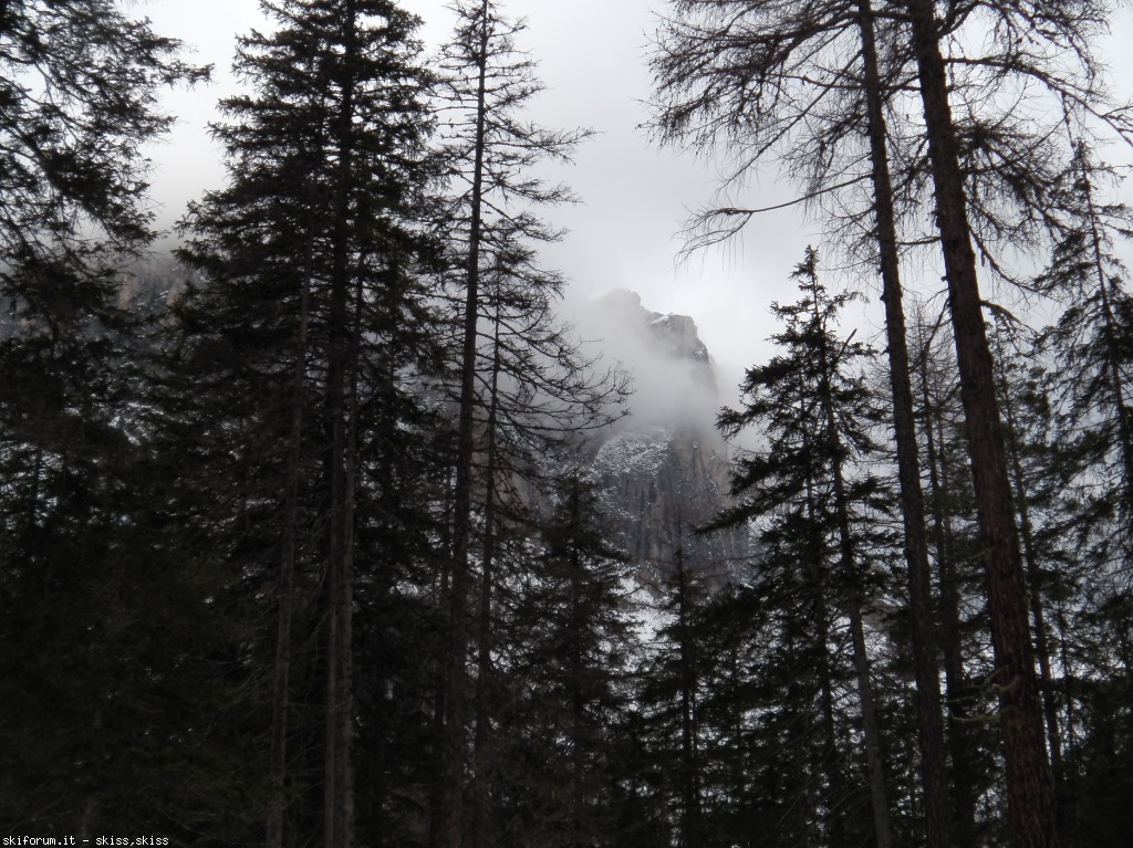 89865-cartoline-da-san-leonardo-natale-dic2012-imga0203582.jpg