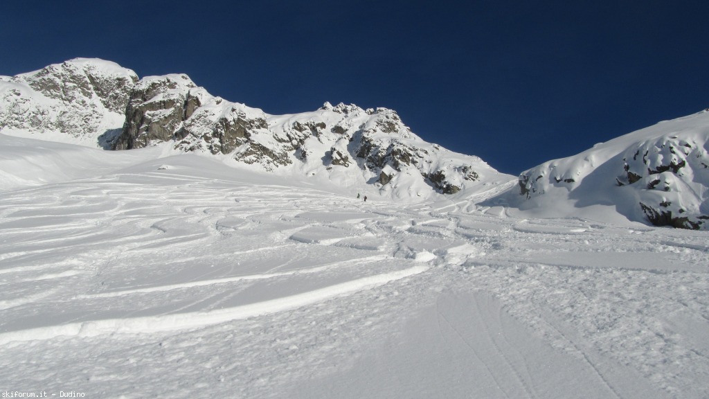 89925-bananalp-parti-img3514.jpg