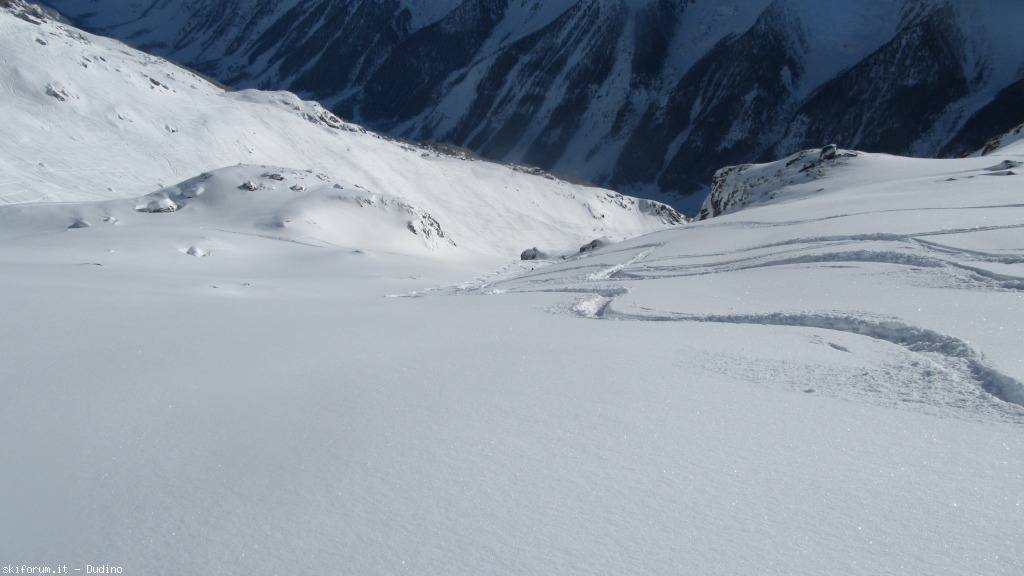 89942-bananalp-partii-img3550.jpg