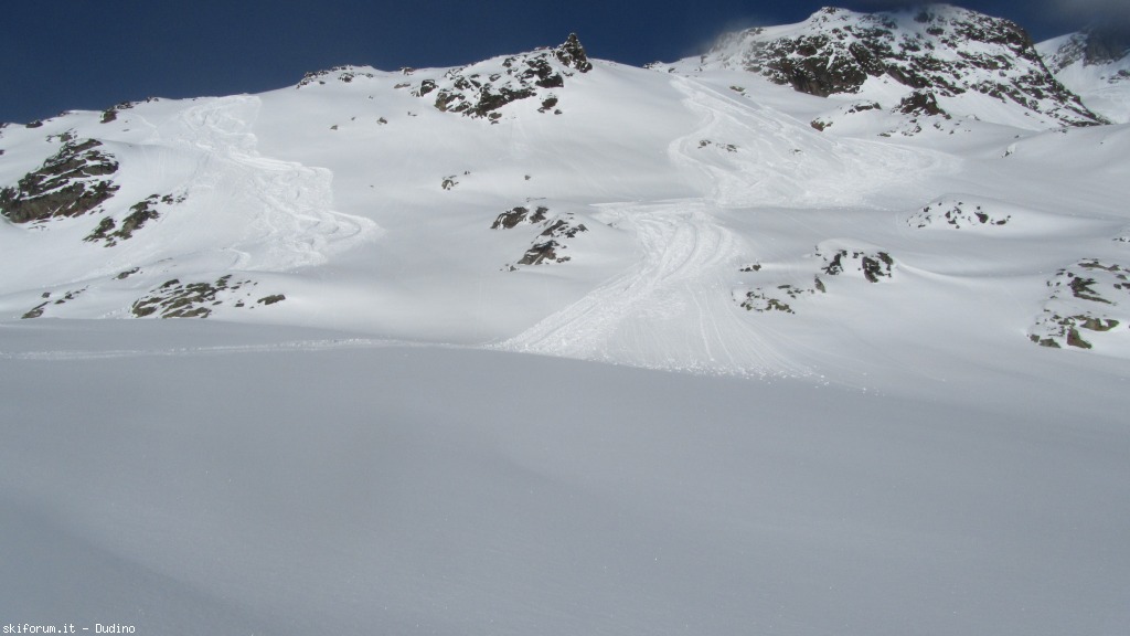 89943-bananalp-partii-img3551.jpg