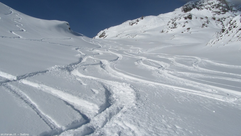 89944-bananalp-partii-img3552.jpg