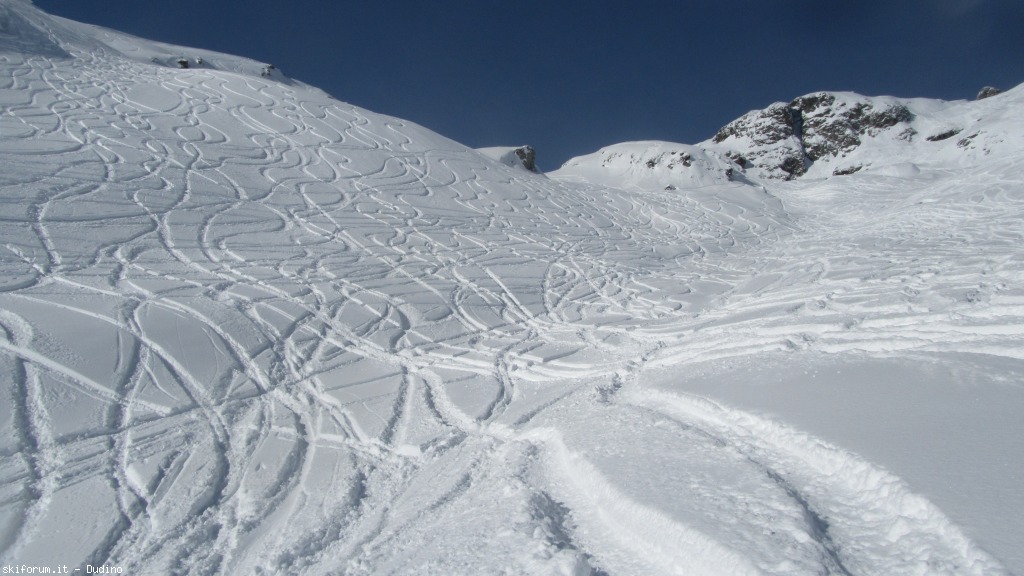 89946-bananalp-partii-img3556.jpg