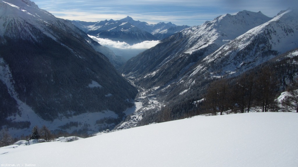 89948-bananalp-partii-img3558.jpg