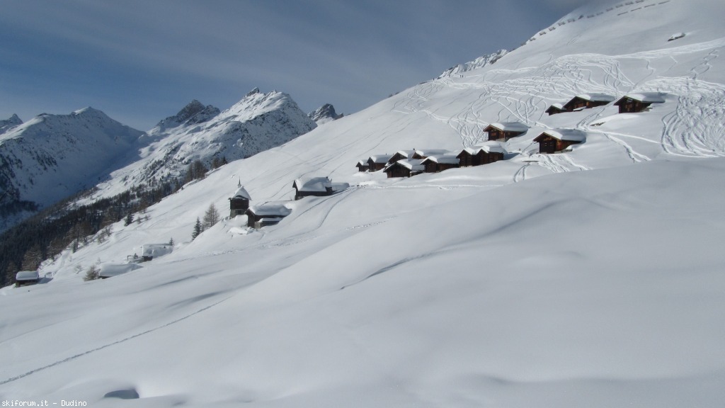 89950-bananalp-partii-img3566.jpg