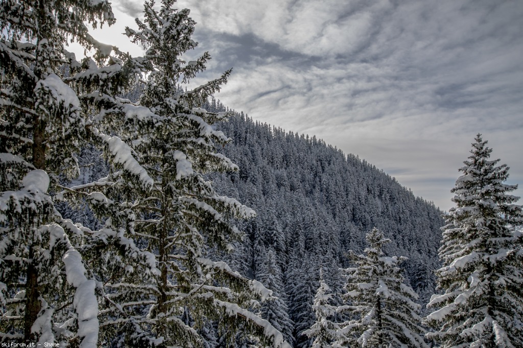 89977-la-thuile-la-rosiere-img4700.jpg