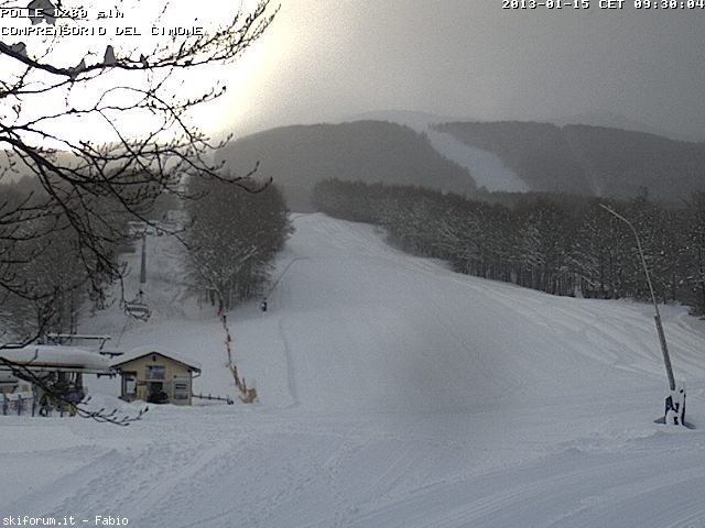 90162-webcam-neve-16-gen-2013-polle.jpg