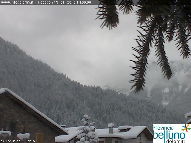 90216-webcam-neve-15-gennaio-13-falcade.jpg