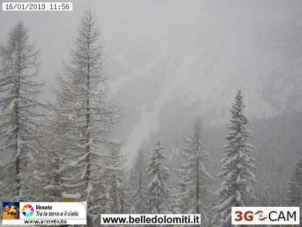 90371-neve-16-gennaio-2013-pistetofana.jpg