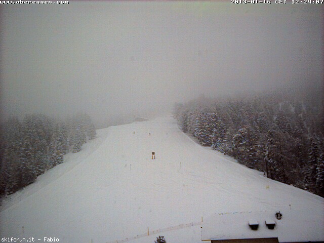 90372-neve-16-gennaio-2013-webcam2.jpg