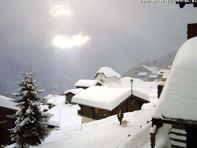 90390-neve-16gennaio2013-cam7huge.jpg