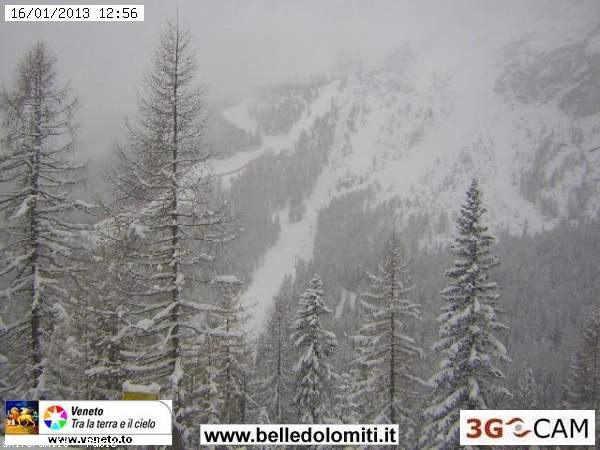 90398-webcam-neve-16-gennaio-2013-pistetofana.jpg