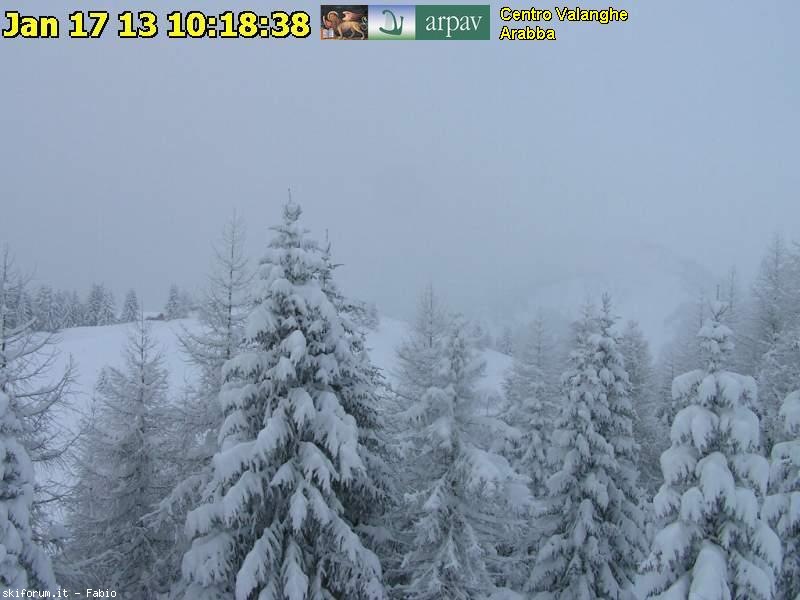 90509-webcam-neve-17-gennaio-2013-arp002.jpg