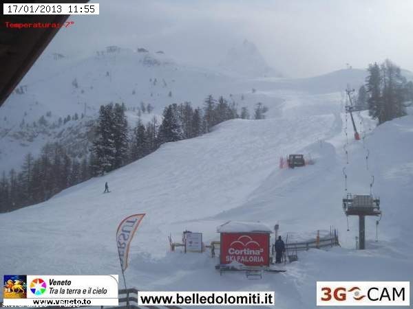 90537-faloria.jpg