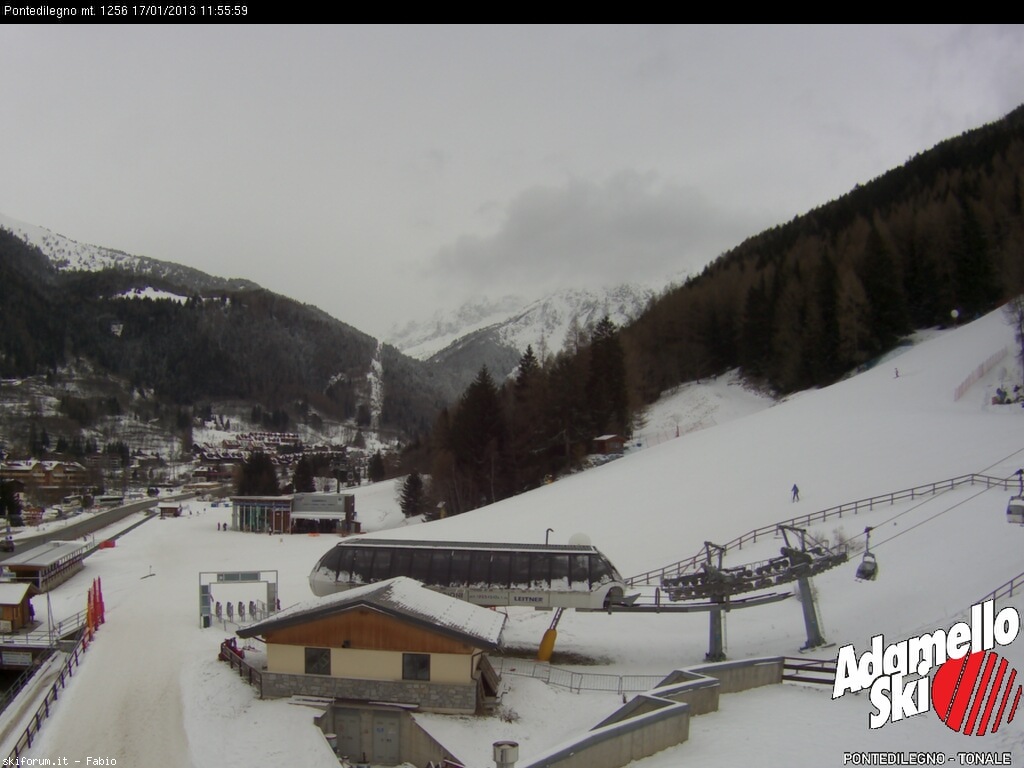 90568-pontedilegno.jpg
