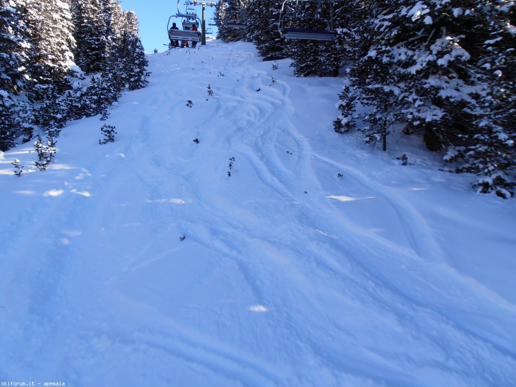 90897-pampeago-18-01-2013-p1180004.jpg