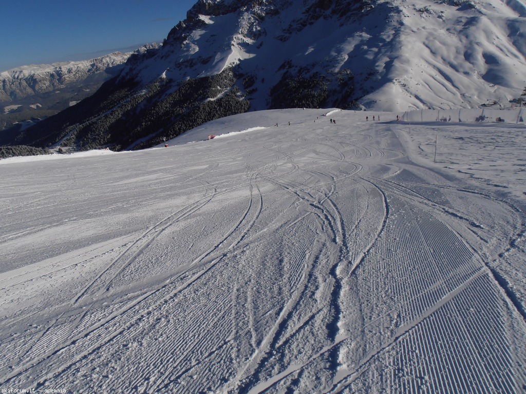 90918-p1180016.jpg