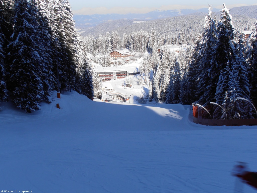 90927-p1180025.jpg