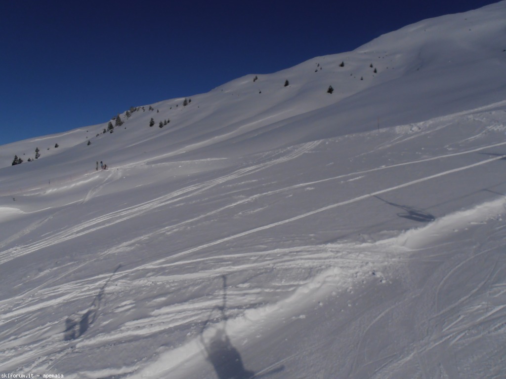 90966-p1180046.jpg