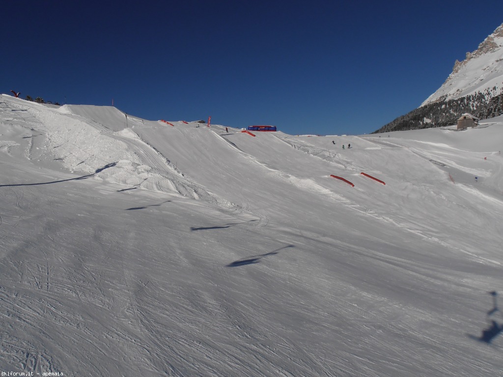 91008-p1180065.jpg