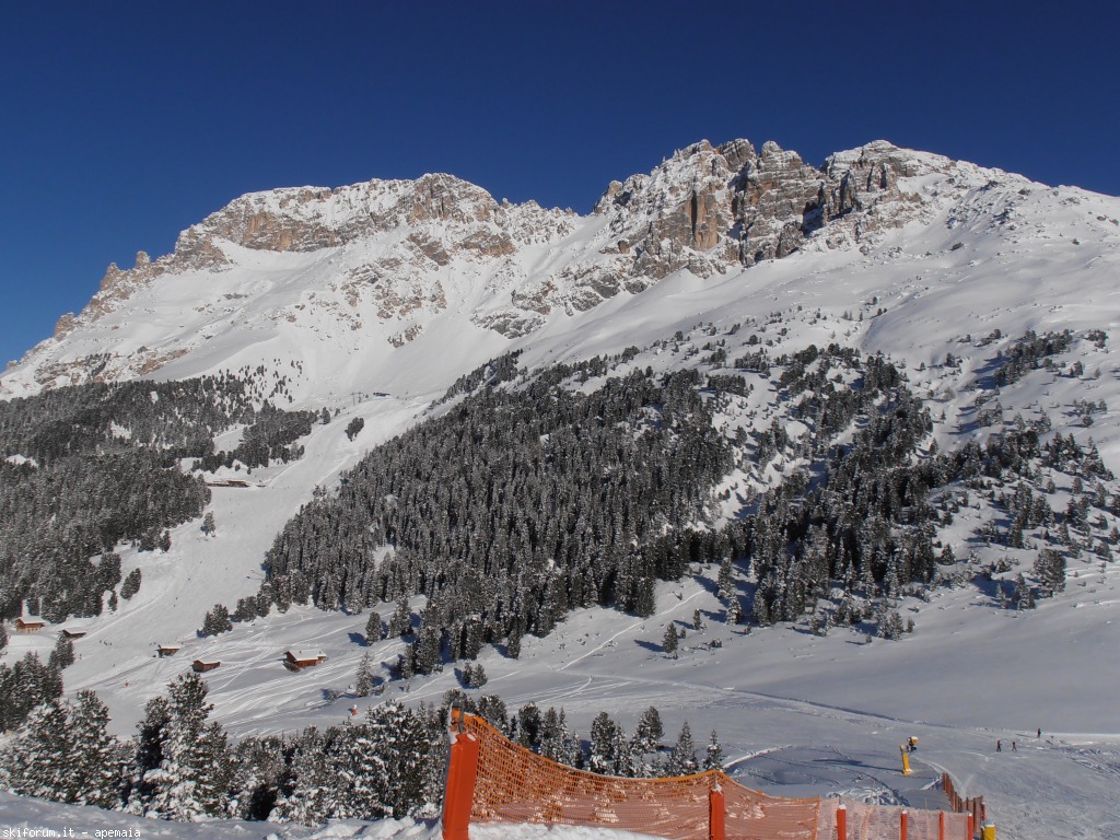 91009-p1180066.jpg