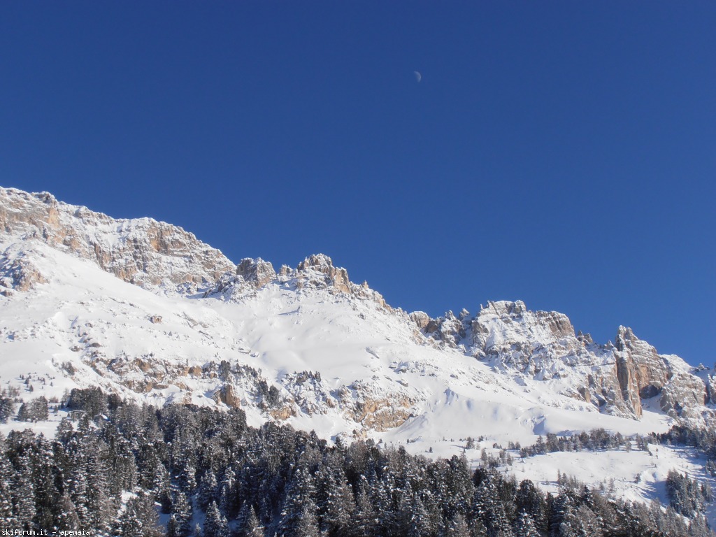 91010-p1180067.jpg