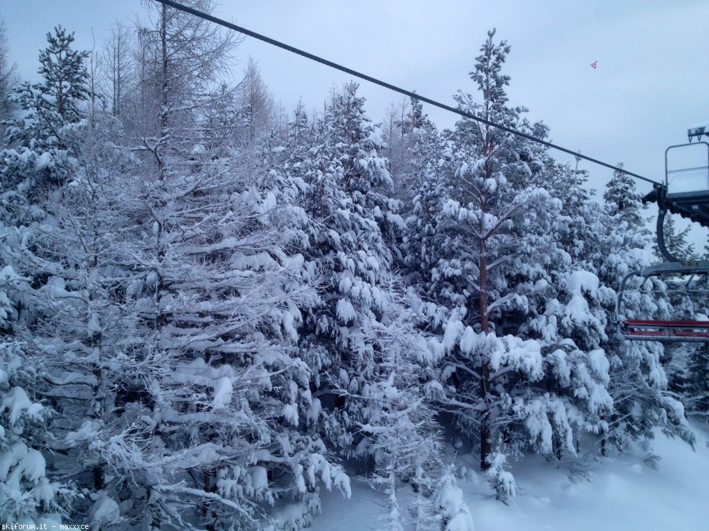 91091-image.jpg