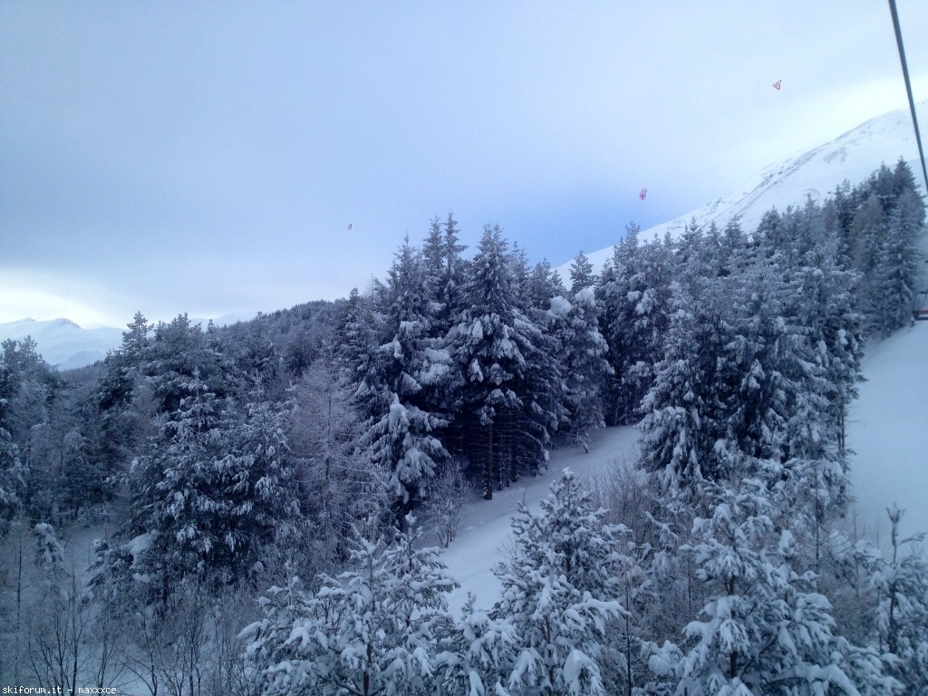 91092-image.jpg