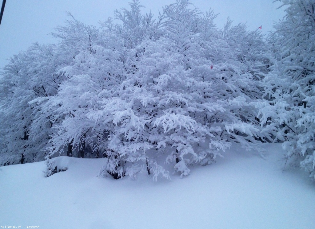 91097-image.jpg