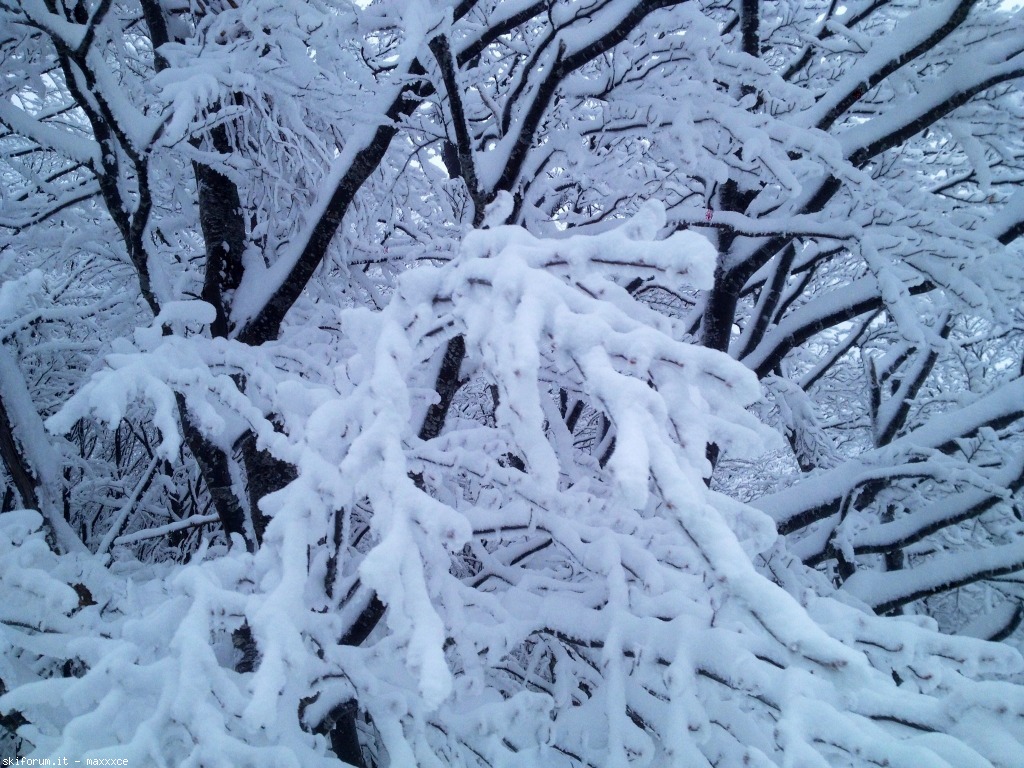 91099-image.jpg