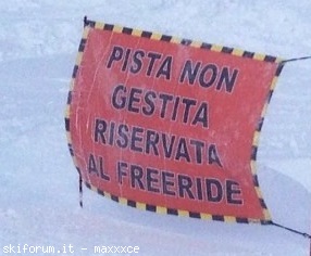 91119-image.jpg