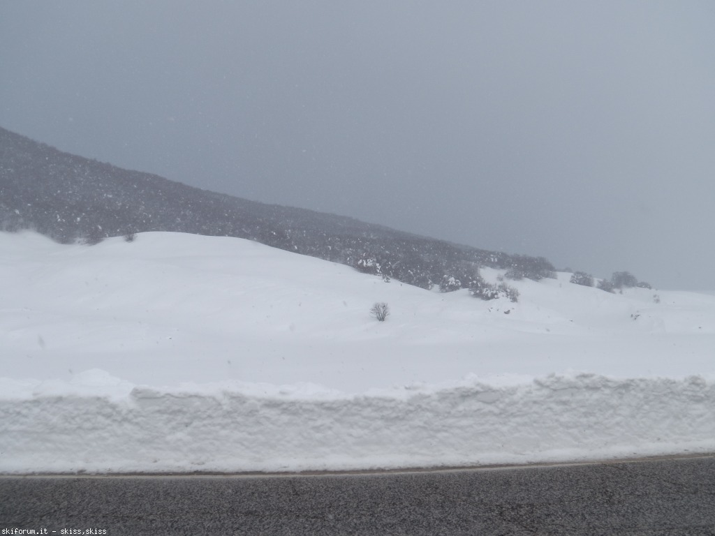91120-neve-densa-imga0408.jpg