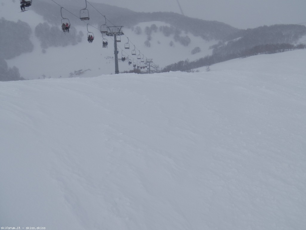 91121-neve-densa-imga0404.jpg