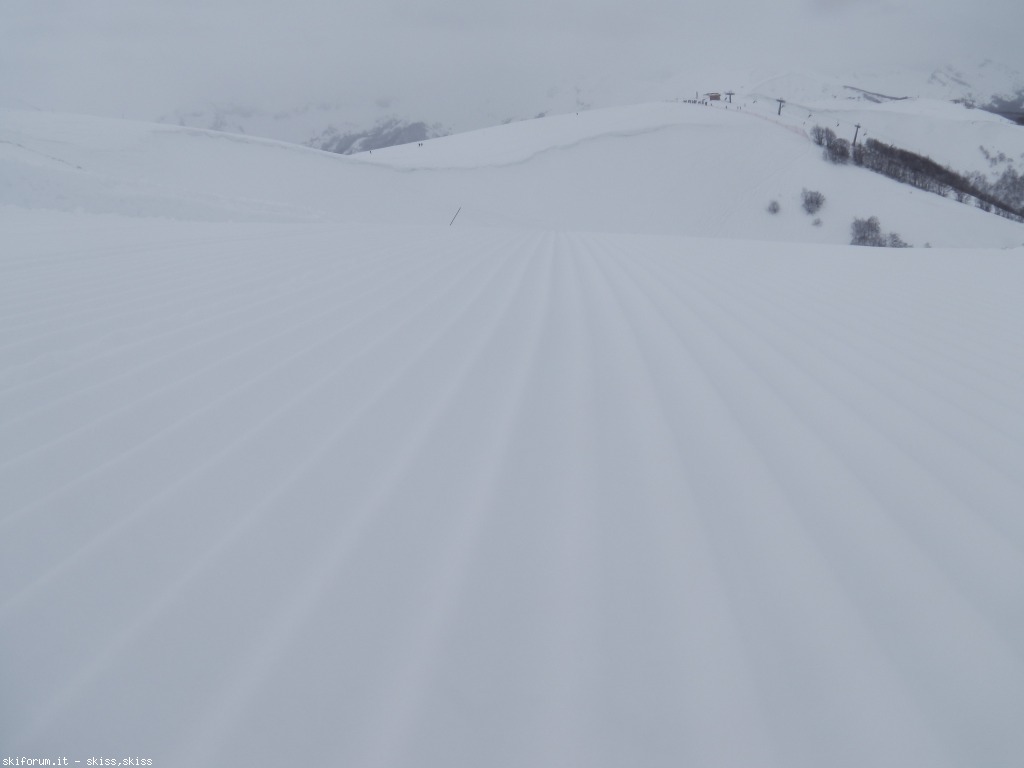 91122-neve-densa-imga0376.jpg