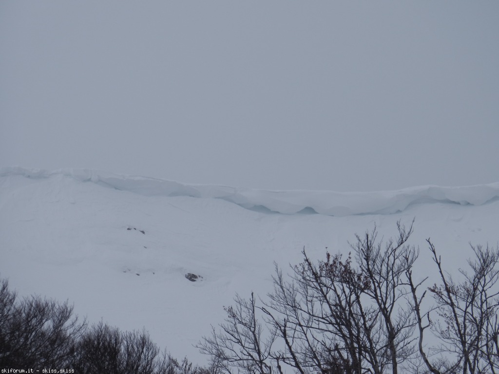 91123-neve-densa-imga0371.jpg