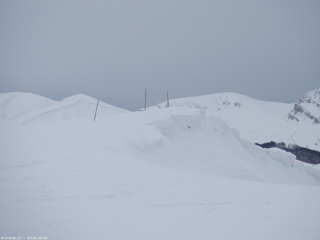 91124-neve-densa-imga0370.jpg