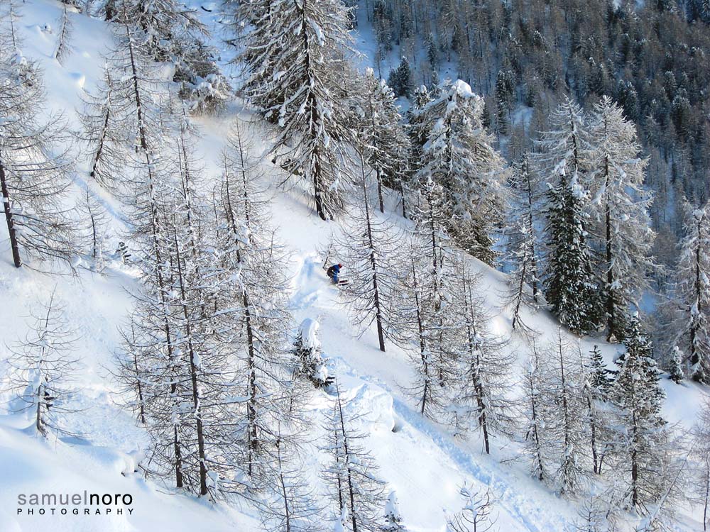 91795-fassani-c.-amici-vecchi-e-nuovi-20130118015web.jpg