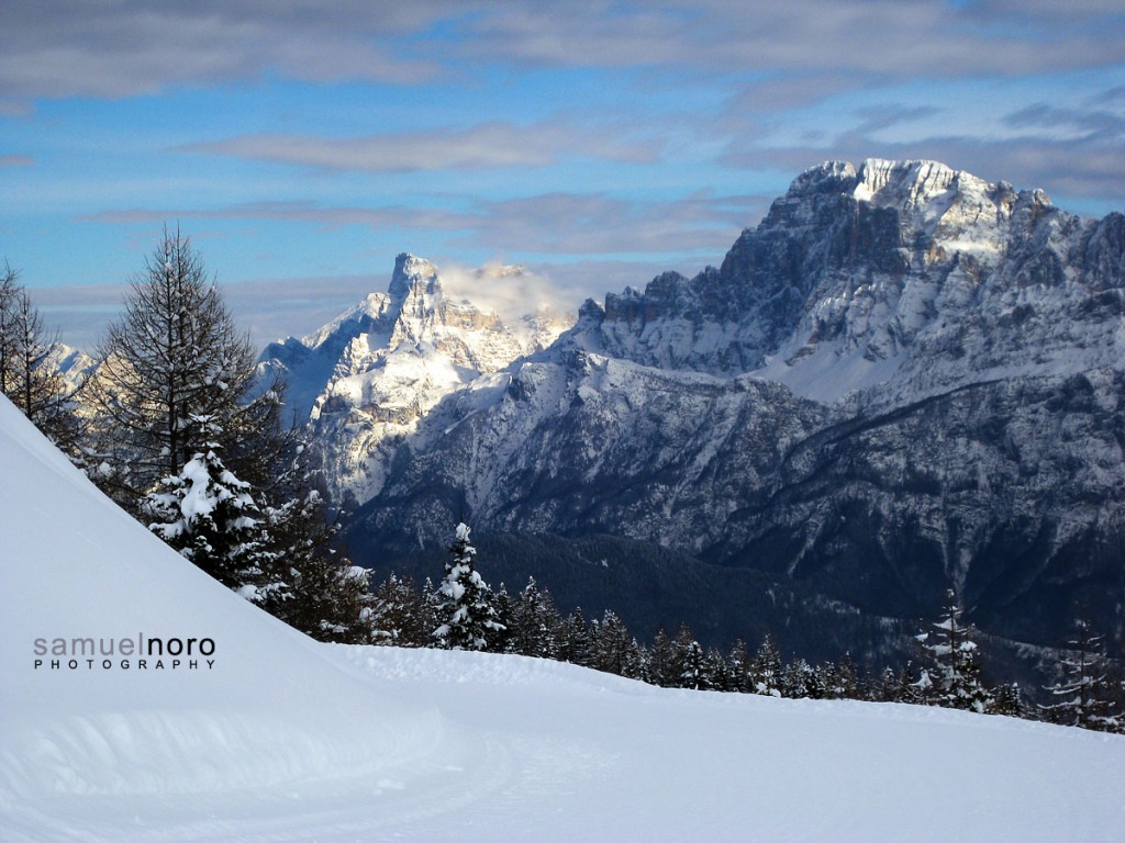 91796-fassani-c.-amici-vecchi-e-nuovi-20130118017web.jpg