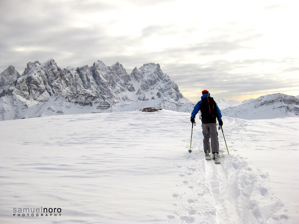 91797-fassani-c.-amici-vecchi-e-nuovi-20130118020web.jpg