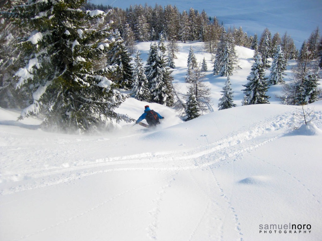 91802-fassani-c.-amici-vecchi-e-nuovi-20130118038web.jpg
