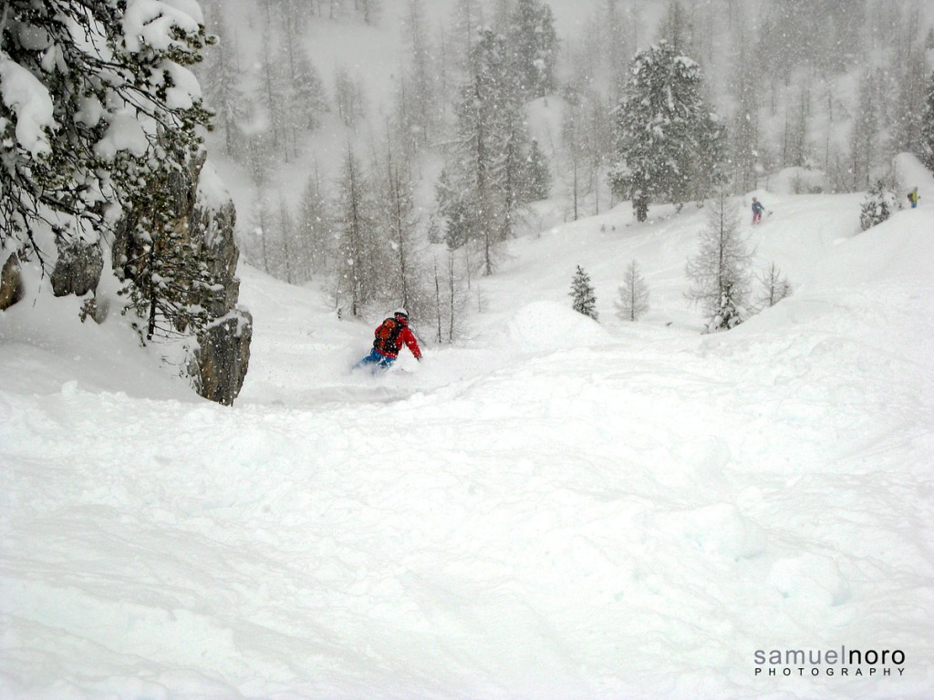 91807-fassani-c.-amici-vecchi-e-nuovi-20130120082web.jpg