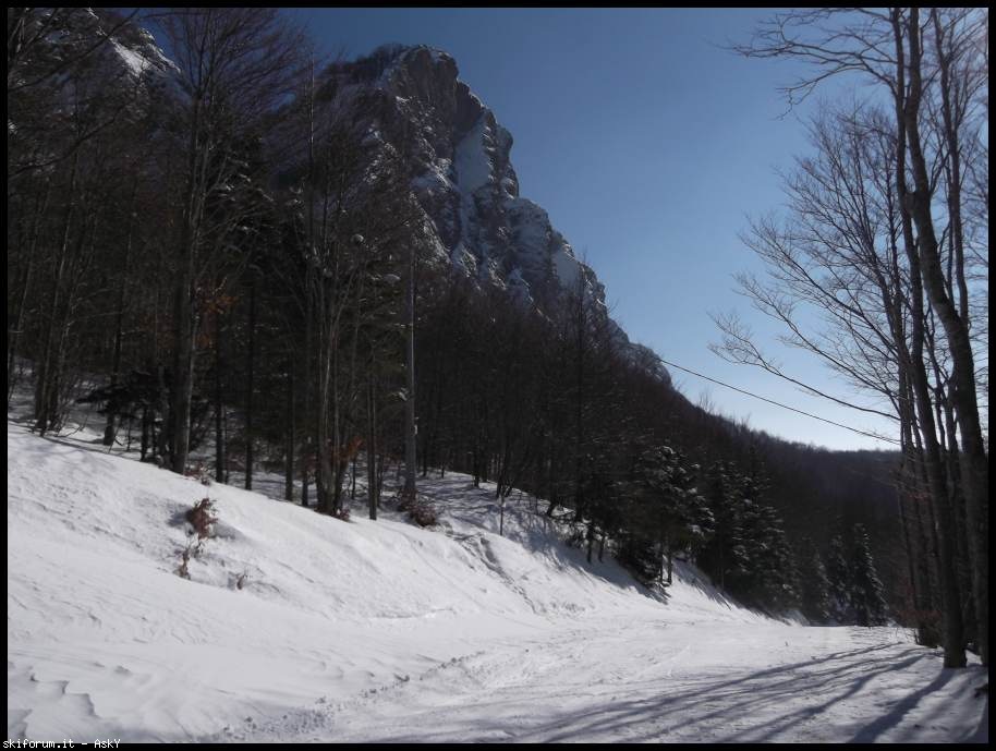 92256-s.-stefano-d-aveto-26-gen-2013-107.jpg