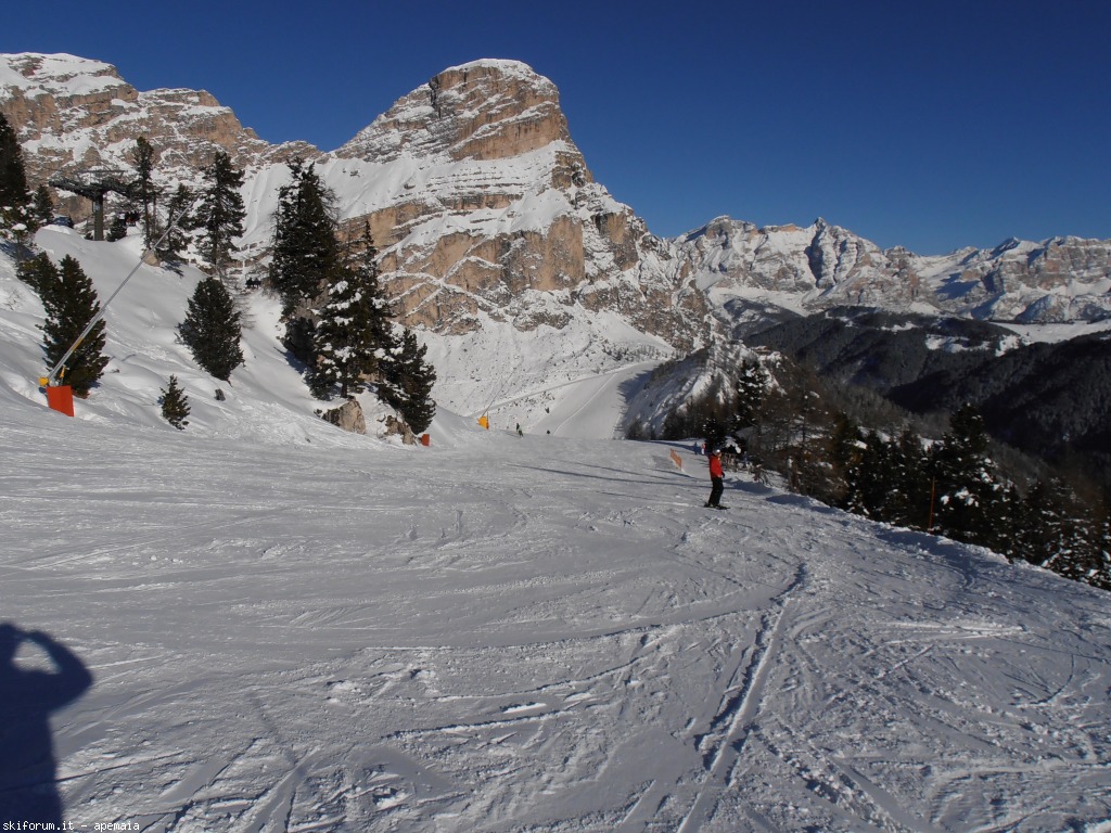 92336-p1260061.jpg