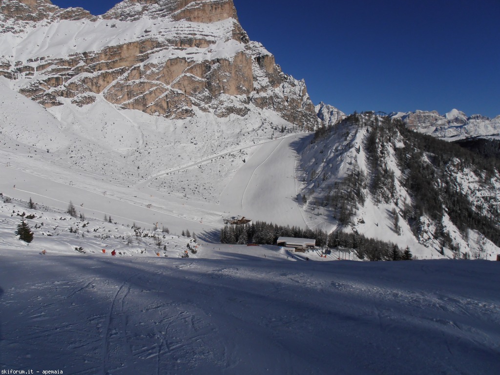 92340-p1260064.jpg