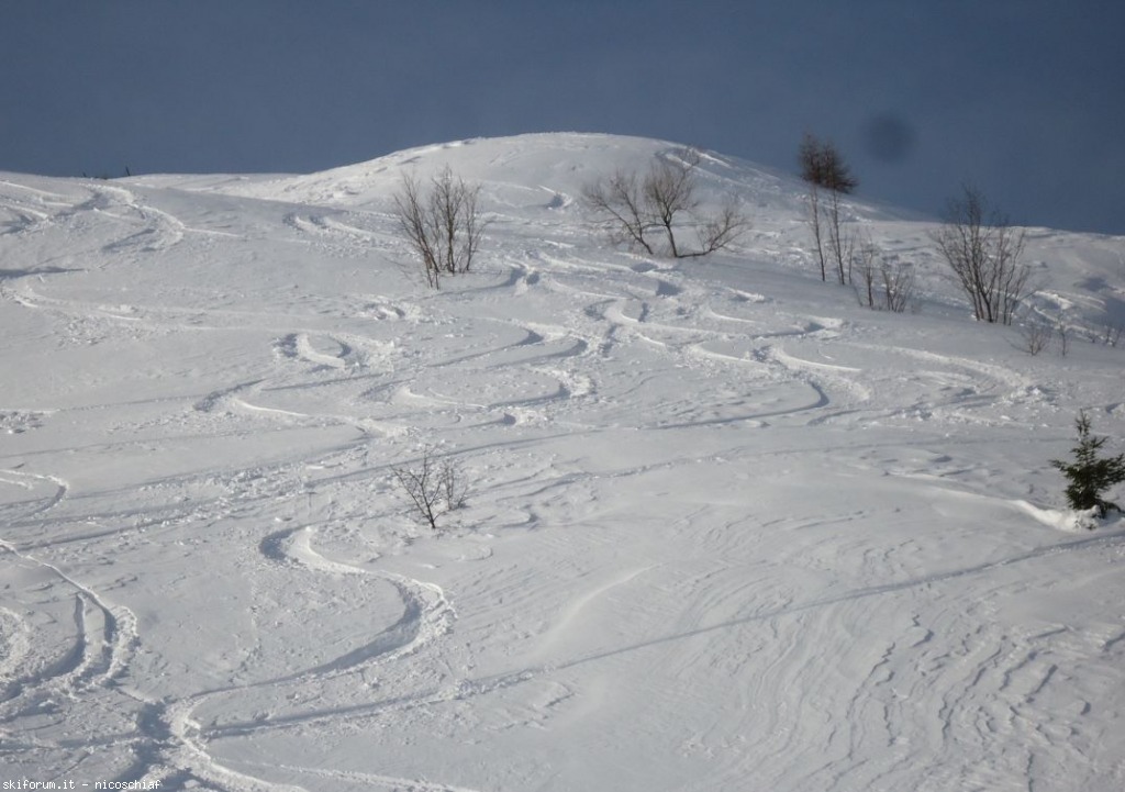92409-monesi-1-resizeddsc01092.jpg